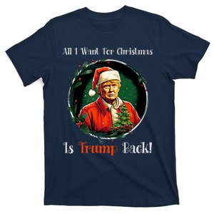 Funny Donald Trump Mug Shot All I Want For Christmas 2024 Premium T-Shirt