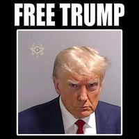 Free Donald Trump Mugshot Election Cooling Performance Crew T-Shirt