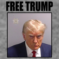 Free Donald Trump Mugshot Election Tank Top