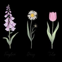 FOXGLOVE DAISY TULIP Floral Nature Apparel for Flower Drawstring Bag