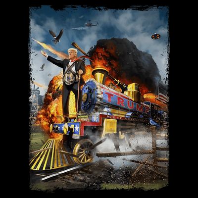 Funny Donald Trump 2024 Election All Aboard The Trump Train Gift T-Shirt