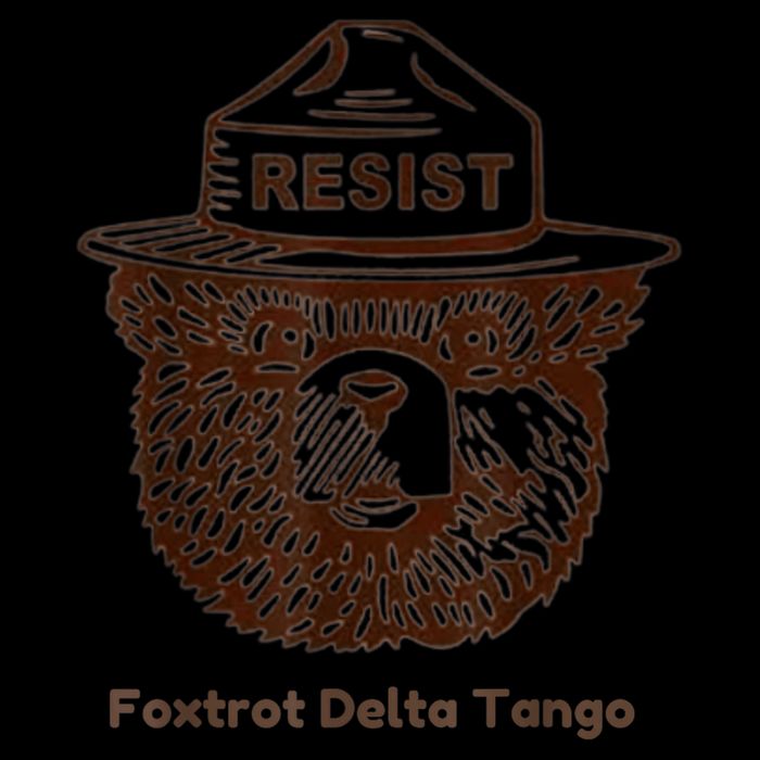 Foxtrots Delta Tangos Funny Foxtrots Delta Tangos 7-Panel Snapback Hat