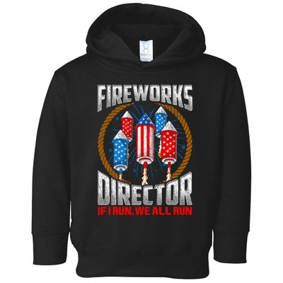 Firework Director Technician I Run You Run 4th Of July Toddler Hoodie