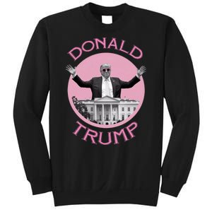 Funny Donald Trump 2024 Take America Back Sweatshirt