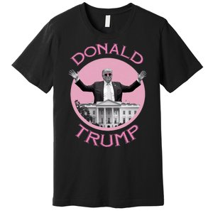 Funny Donald Trump 2024 Take America Back Premium T-Shirt