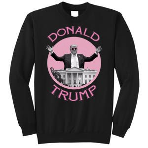 Funny Donald Trump 2024 Take America Back Tall Sweatshirt