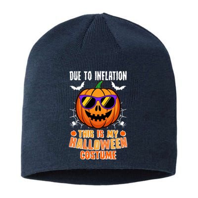 Funny Due To Inflation This Is My Halloween Costume Sustainable Beanie