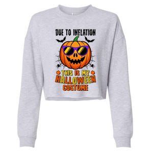 Funny Due To Inflation This Is My Halloween Costume Cropped Pullover Crew