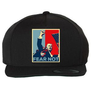 Fist Dumped Trump Fight Poster Trump 2024 Fear Not Wool Snapback Cap