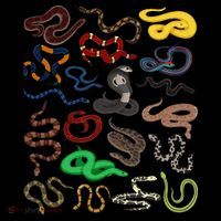funny Different Types of Snakes Snake Button