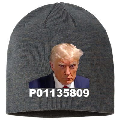 Funny Donald Trump Prison Mugshot Fulton County GA Gift Sustainable Beanie