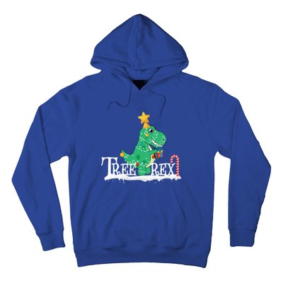 Funny Dinosaur Trex Christmas Tree Rex Meaningful Gift Hoodie