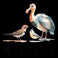 Flicker Dodo Titmouse Apparel Bird Nerd Wildlife Bird Lover  7-Panel Snapback Hat