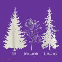 Fir Dogwood Tamarack Vintage Tree National Park Tall T-Shirt