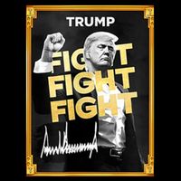 Fight Donald Trump Meme Coin Crypto President T-Shirt