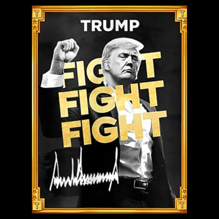 Fight Donald Trump Meme Coin Crypto President T-Shirt