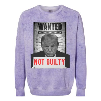 Funny Donald Trump Not Guilty Mug Shot Free Trump 2024 Colorblast Crewneck Sweatshirt