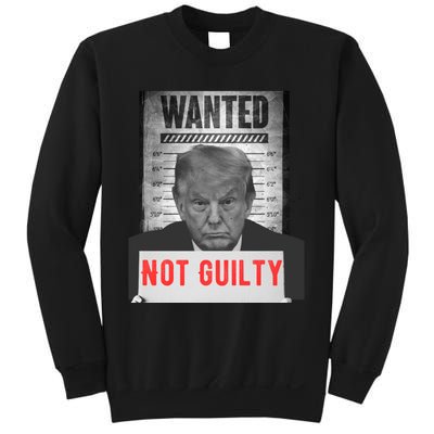 Funny Donald Trump Not Guilty Mug Shot Free Trump 2024 Sweatshirt