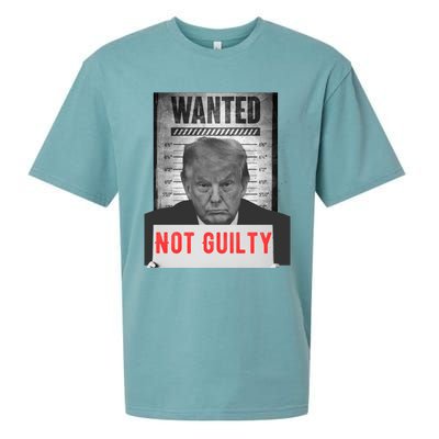 Funny Donald Trump Not Guilty Mug Shot Free Trump 2024 Sueded Cloud Jersey T-Shirt