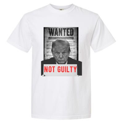 Funny Donald Trump Not Guilty Mug Shot Free Trump 2024 Garment-Dyed Heavyweight T-Shirt