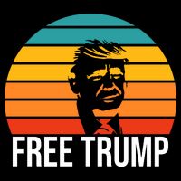 Free Donald Trump From Prison Toddler T-Shirt