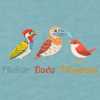 Flicker Dodo Titmouse Bird Lover Nature Lover Sueded Cloud Jersey T-Shirt