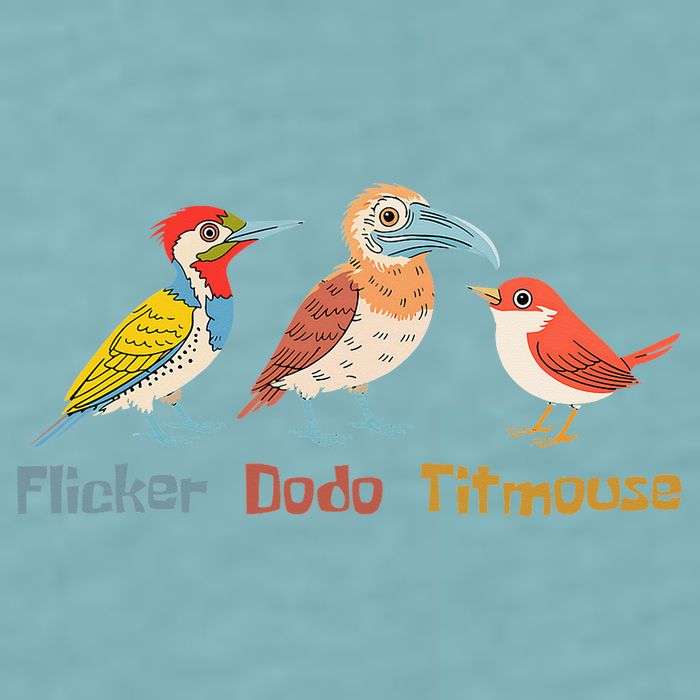 Flicker Dodo Titmouse Bird Lover Nature Lover Sueded Cloud Jersey T-Shirt