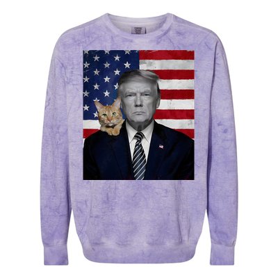 Funny Donald Trump And Cat Political Usa Flag Election 2024 Colorblast Crewneck Sweatshirt