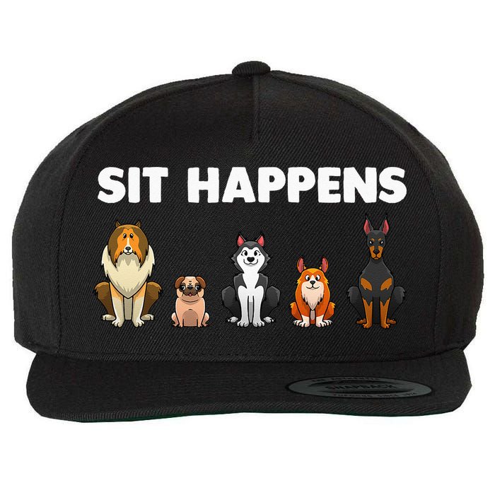 Funny Dog Training Art For  Dog Lover Puppy Pet Wool Snapback Cap