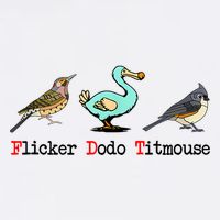 Flicker Dodo Titmouse Bird Lover  Wool Snapback Cap
