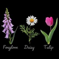 Foxglove Daisy Tulip Floral Cooling Performance Crew T-Shirt