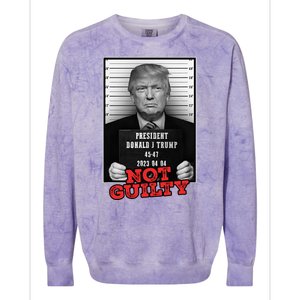 Funny Donald Trump Not Guilty Mug Shot Free Trump 2024 Colorblast Crewneck Sweatshirt