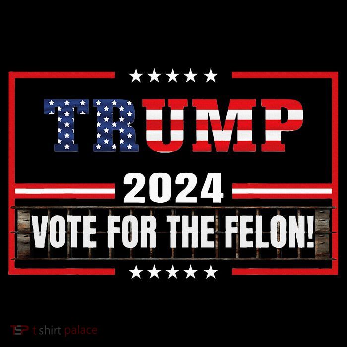 Funny Donald Trump Supporter 2024 Vote For The Felon Poster