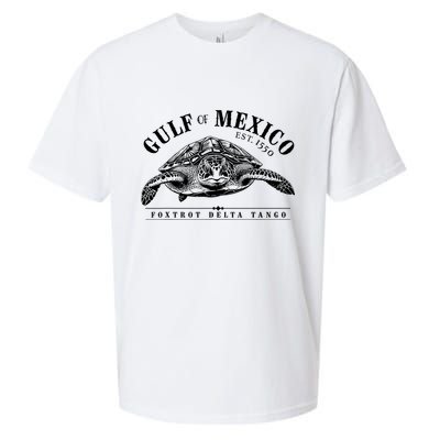 Foxtrot Delta Tango Turtle Gulf Of Mexico Protest Sueded Cloud Jersey T-Shirt