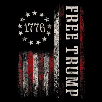 Free Donald Trump Republican Support Pro Trump American Flag T-Shirt