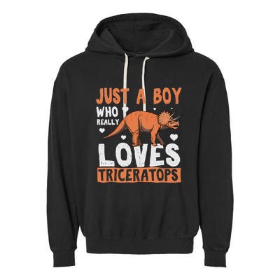 Funny Dinosaur Triceratops for boy Garment-Dyed Fleece Hoodie