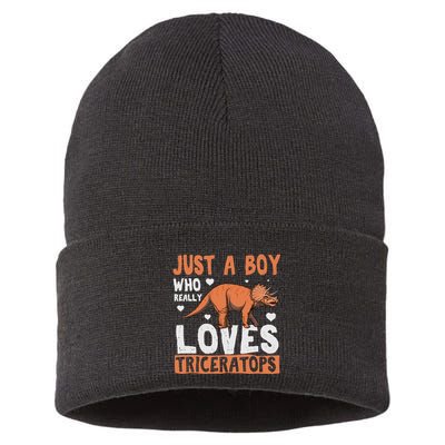 Funny Dinosaur Triceratops for boy Sustainable Knit Beanie