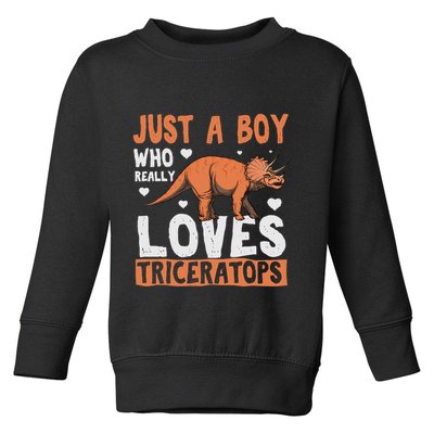 Funny Dinosaur Triceratops for boy Toddler Sweatshirt