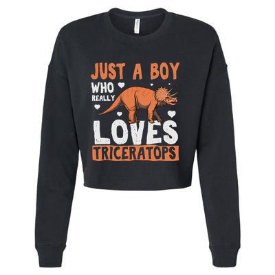 Funny Dinosaur Triceratops for boy Cropped Pullover Crew