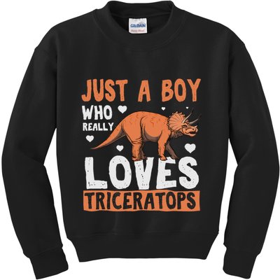 Funny Dinosaur Triceratops for boy Kids Sweatshirt