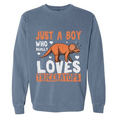 Funny Dinosaur Triceratops for boy Garment-Dyed Sweatshirt