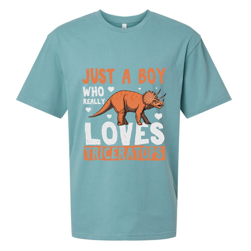 Funny Dinosaur Triceratops for boy Sueded Cloud Jersey T-Shirt