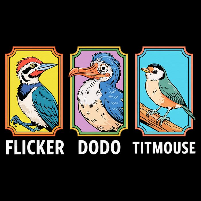 Flicker Dodo Titmouse Bird Lover Zip Tote Bag