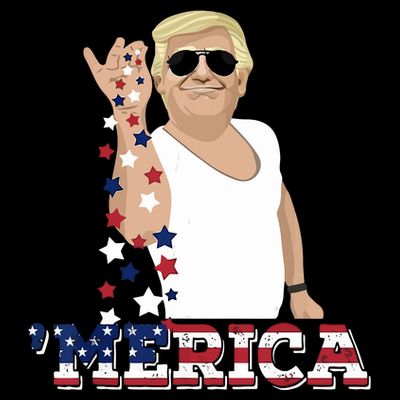 Funny Donald Trump Merica T-Shirt