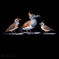 Flicker Dodo Titmouse Bird Lover Wool Snapback Cap