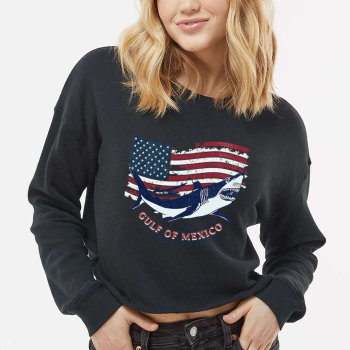 Foxtrot Delta Tango Shark Gulf Of Mexico Protest Cropped Pullover Crew