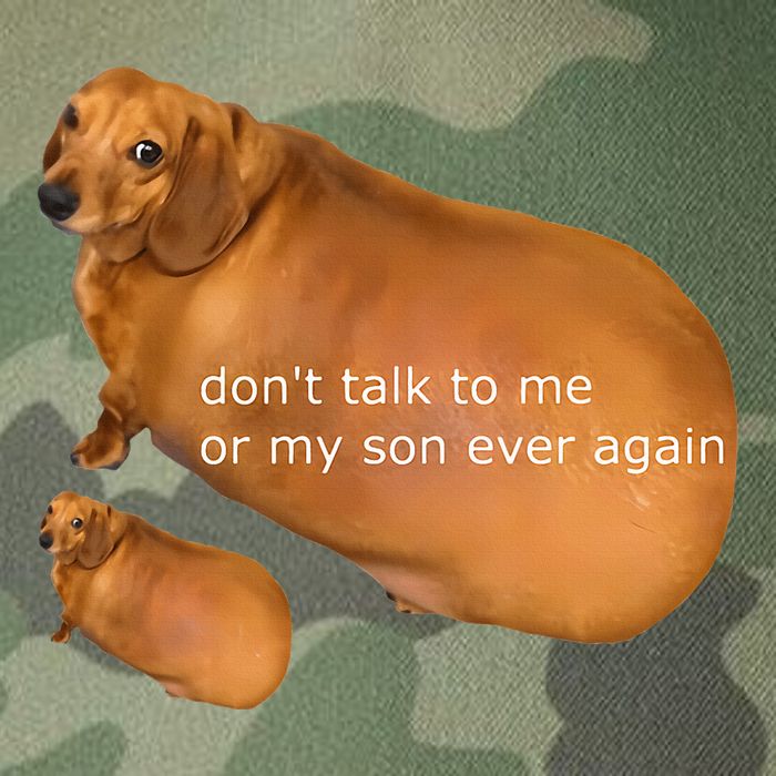 Funny DonT Talk To Me Or My Son Ever Again Geek Dog Meme Legacy Tie Dye Trucker Hat