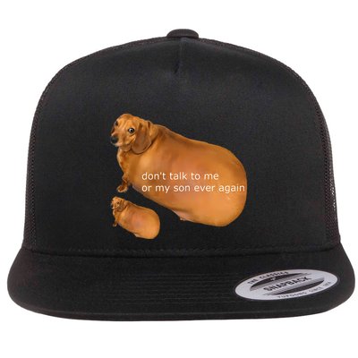 Funny DonT Talk To Me Or My Son Ever Again Geek Dog Meme Flatbill Hat