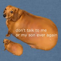 Funny DonT Talk To Me Or My Son Ever Again Geek Dog Meme Garment-Dyed Sweatshirt
