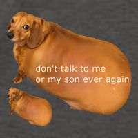 Funny DonT Talk To Me Or My Son Ever Again Geek Dog Meme Vector Backpack